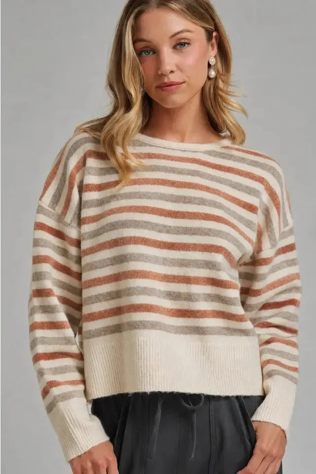 Multi Colored Basic Sweater Top