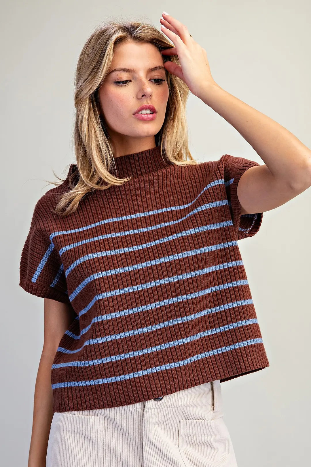 Brown and Blue Striped Mick Neck Short Sleeve Sweater