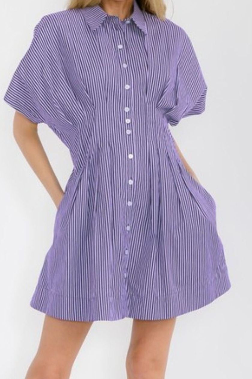 Button Down Pleated Cinch Dress