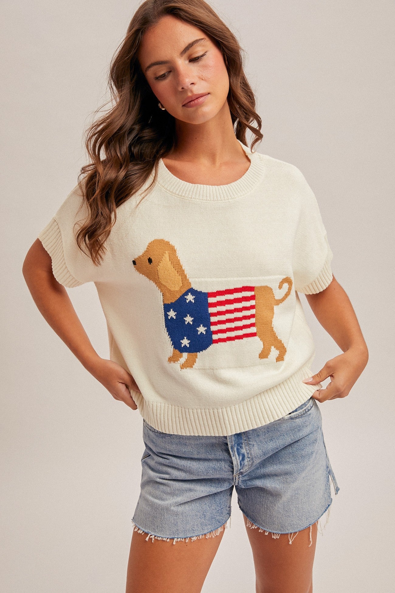 Dachshund American Flag Short Sleeve Sweater