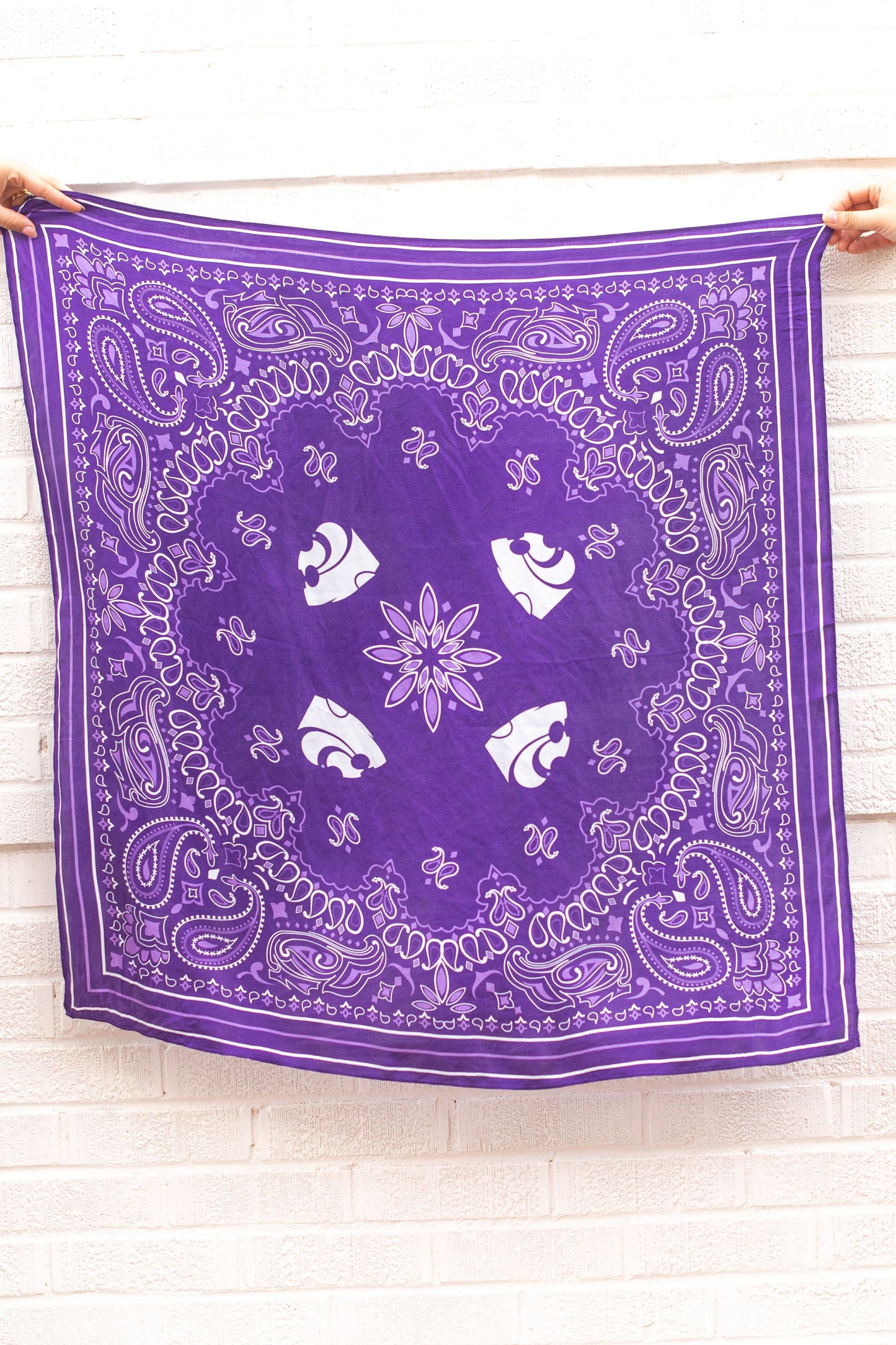 Powercat + Paiselys Saturday Tie Scarf - Purple
