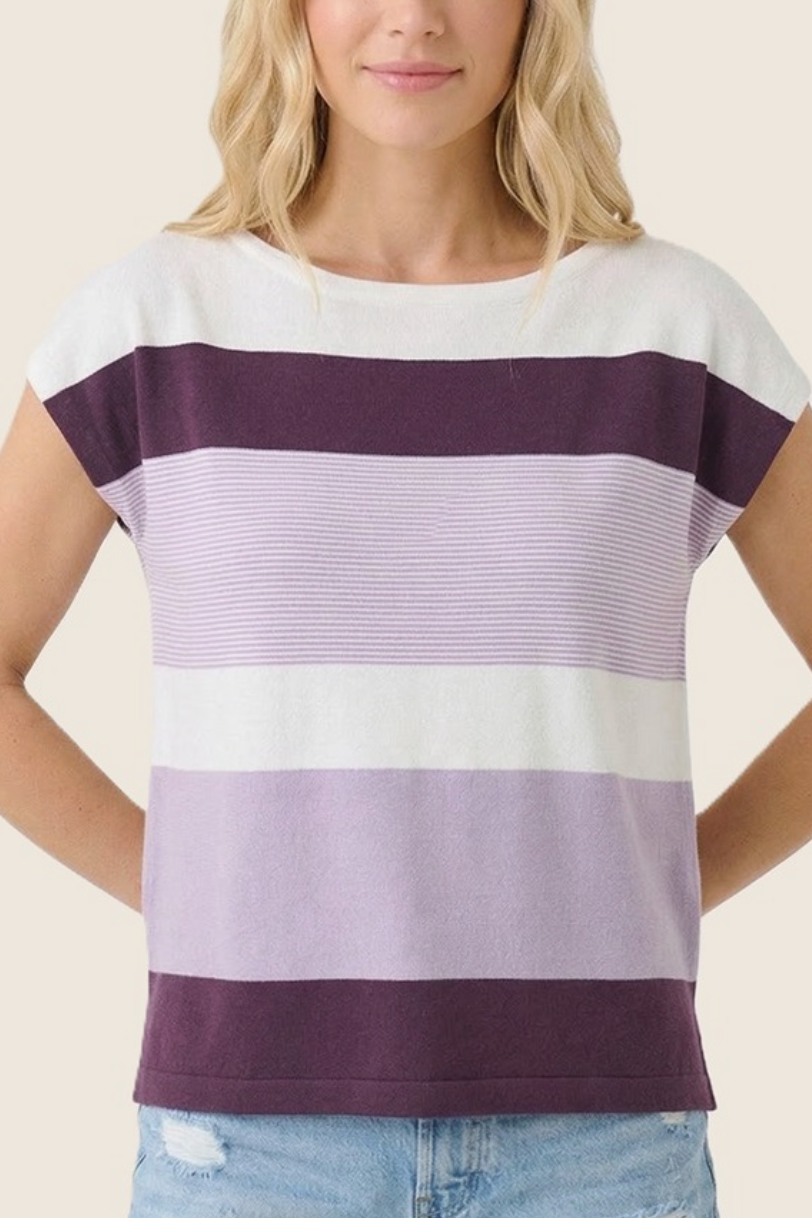 Purple Color Blocked Sweater