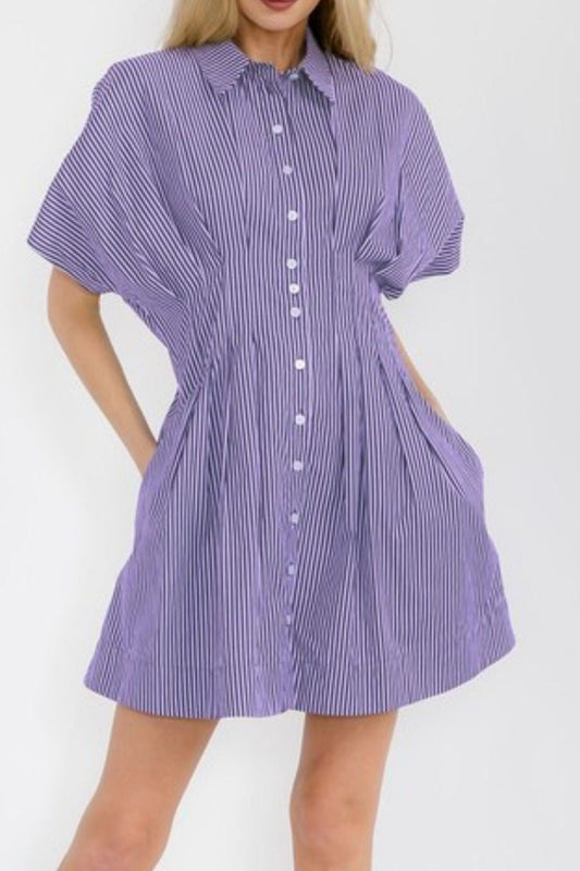 Button Down Pleated Cinch Dress
