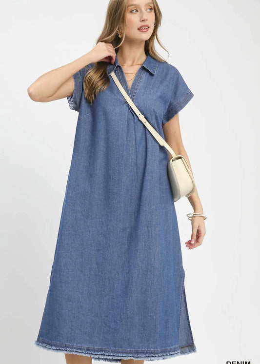 Short Sleeve Collared Dress