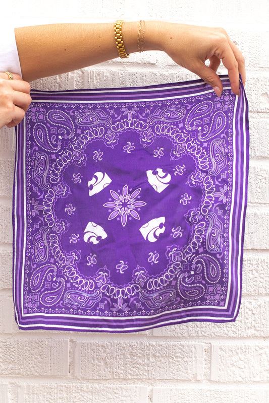 Powercat + Paiselys Silk Hankerchief