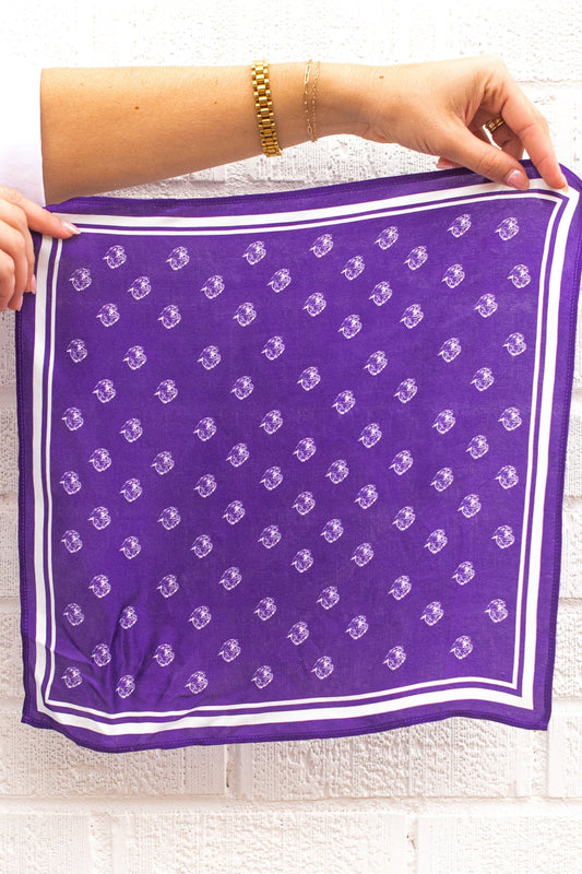 Vintage Ratty Cat Silk Hankerchief