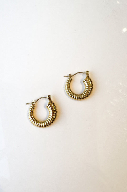 Gold Ribbed Hoop Earrings