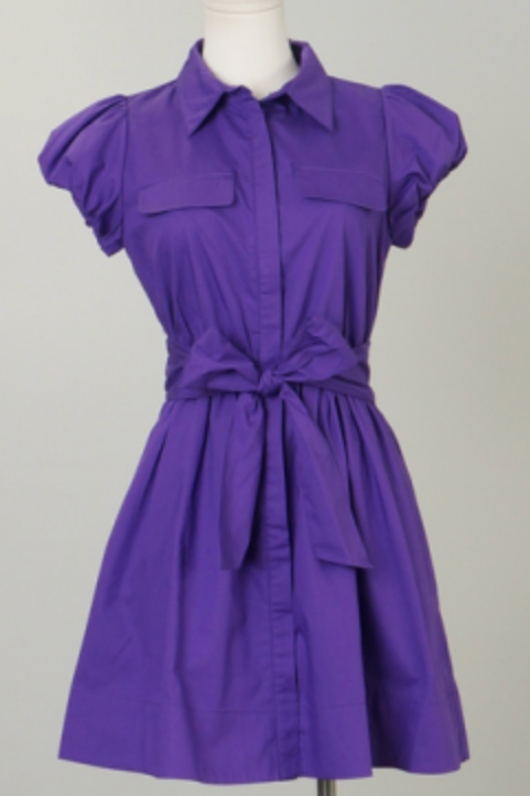 Purple Belted Short Sleeve Mini Dress
